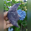 Amethyst Crescent Moon Carving – Crystal Decor for Stress Relief, Intuition & Peace